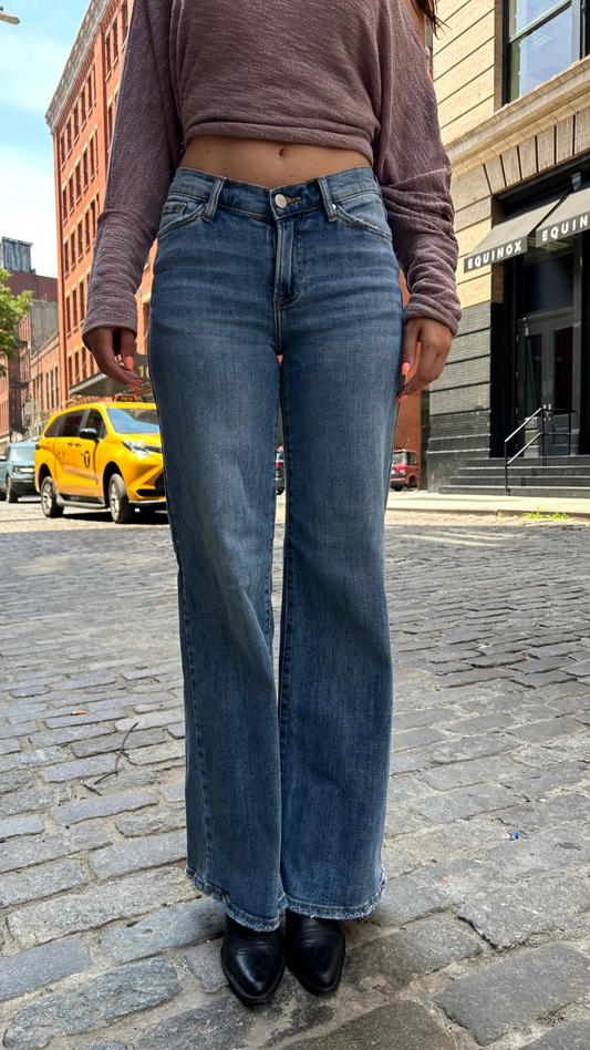ARI V-DIPPED LOWRISE JEANS